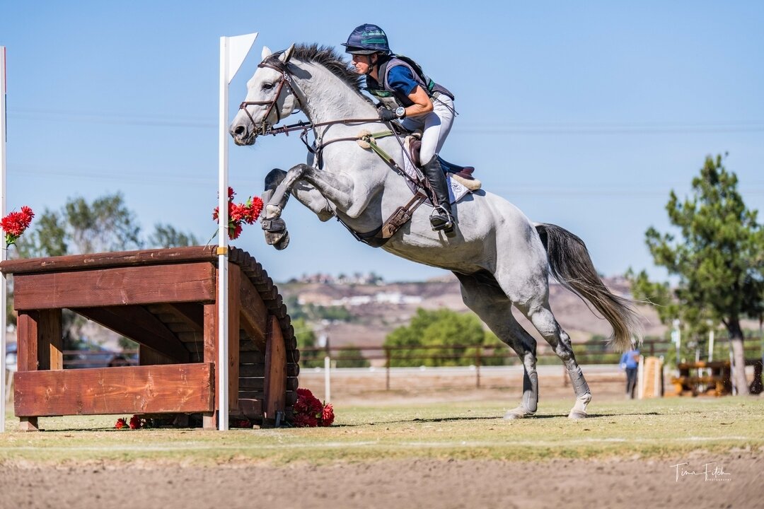 Getting ready to jump into the new year?  I know it's a corny pun, but I am so excited to return again this year.  My team and I are ready to make some magic 💫