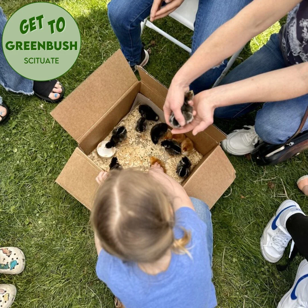 Get Involved Scituate FACTS Scituate MA Get Involved Scituate FACTS Scituate MA