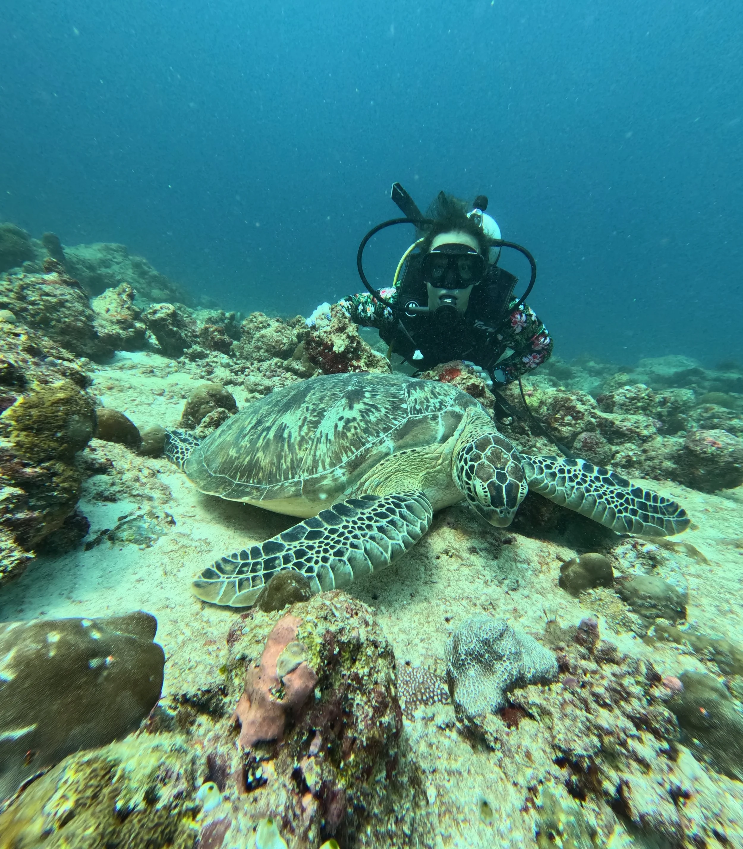 Buceo en Maldivas
