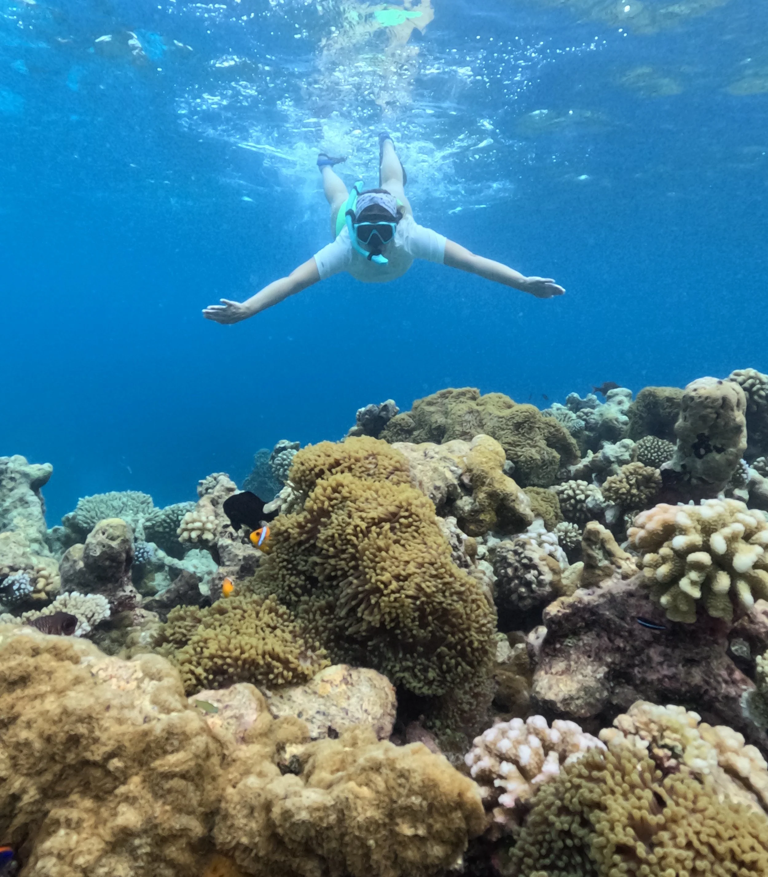 Snorkel en Maldivas