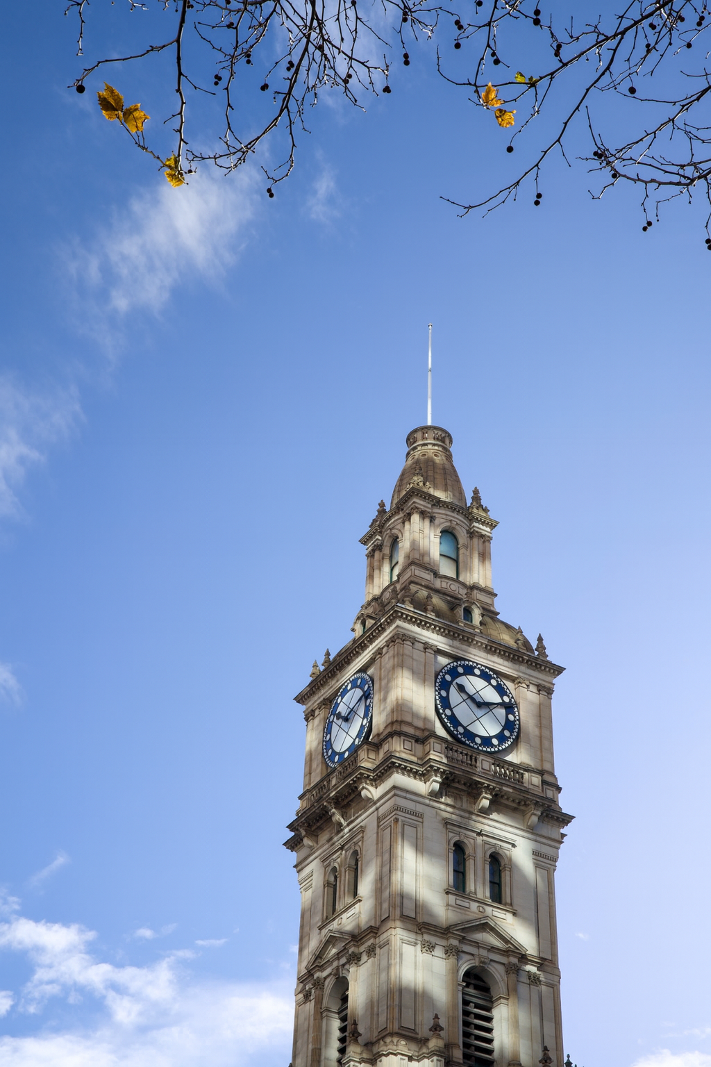 Clock Tower and Bare Tree Branches.png