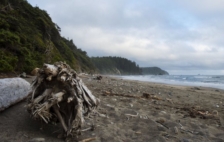 Individual therapy Boulder CO