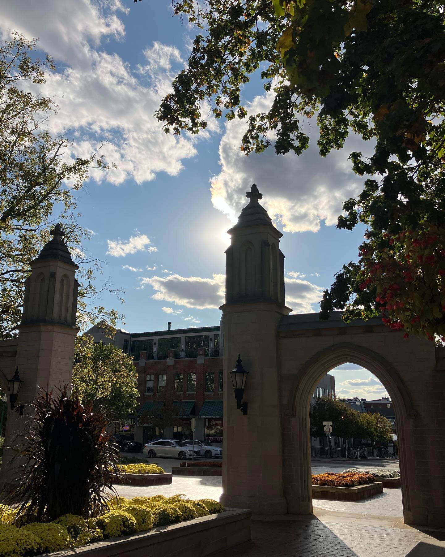 Looking good on campus today, mums are planted and still plenty of time for the leaves to change 🍂🍁🍂 #bloomingtonindiana