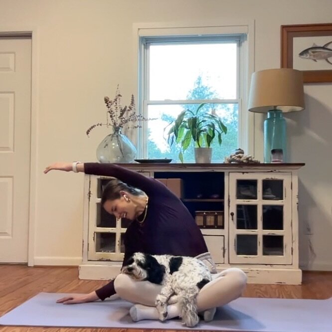 I think I like this little life 🐶☔️🧘&zwj;♀️☀️🌿💓
.
.
.
#yoga #yogapractice #cavapoo #mindfulness #selfcare #yogavideos #onlineyoga