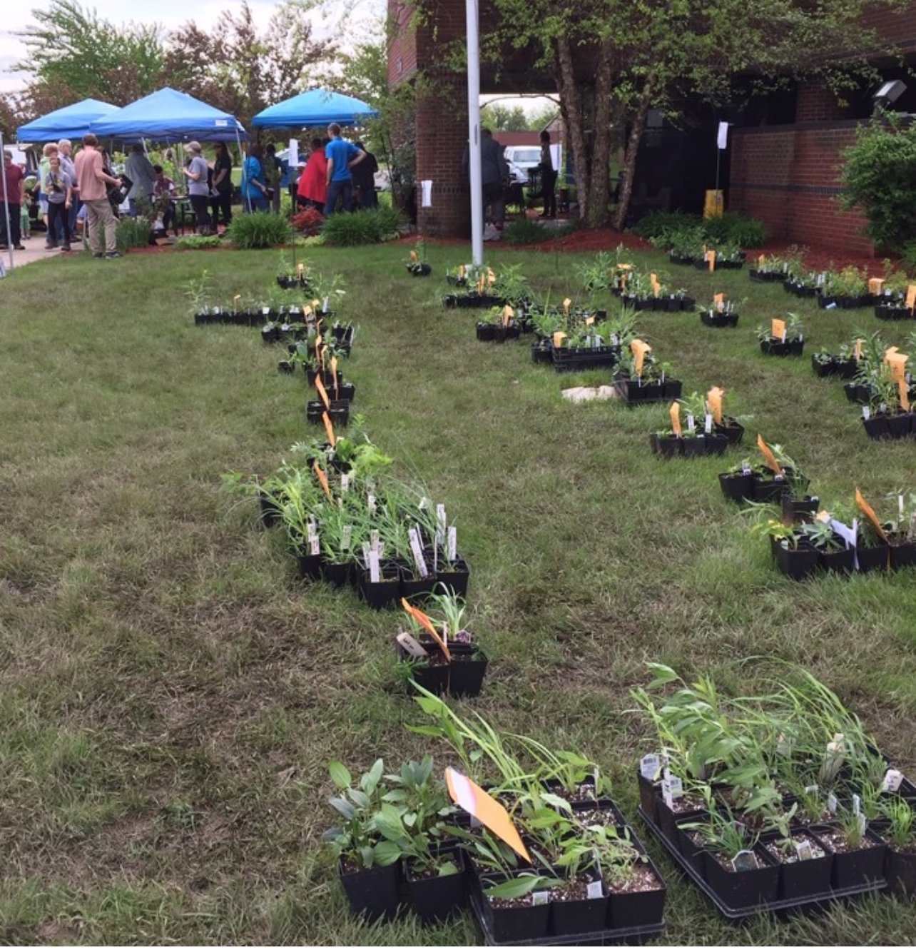 Kent Conservation District Sale