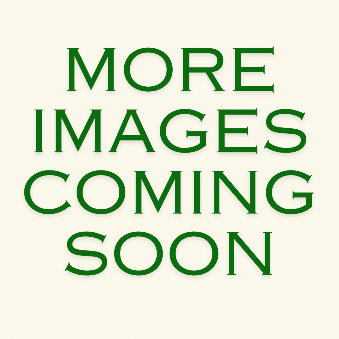 IMAGE COMING SoOn.png