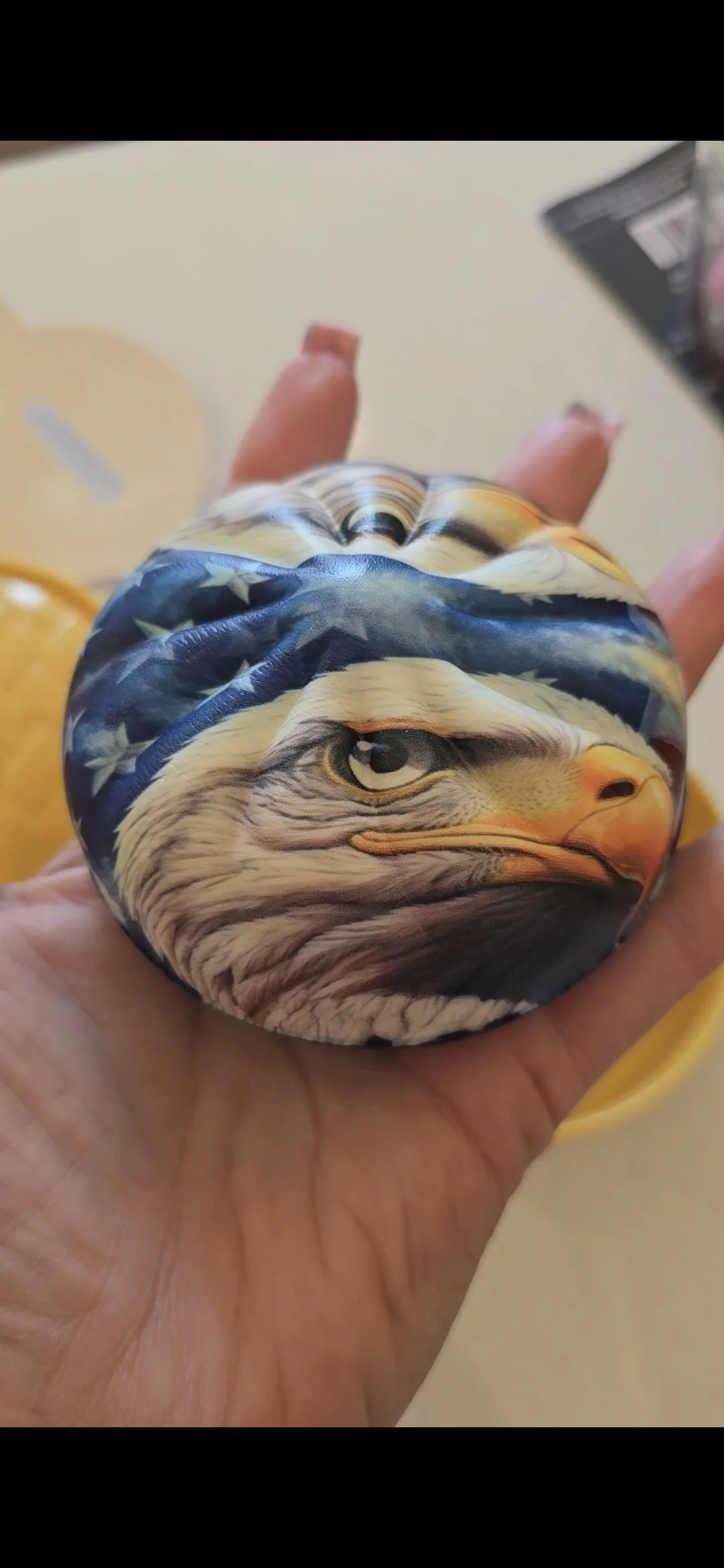 Paisley Pelican, Brigantine NJ