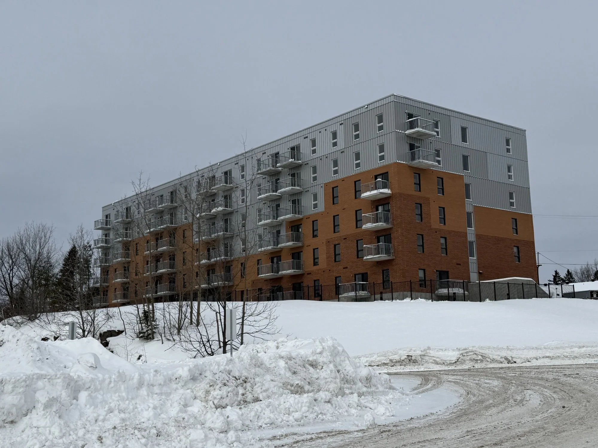 SHA photo ext. 2026-03.jpeg