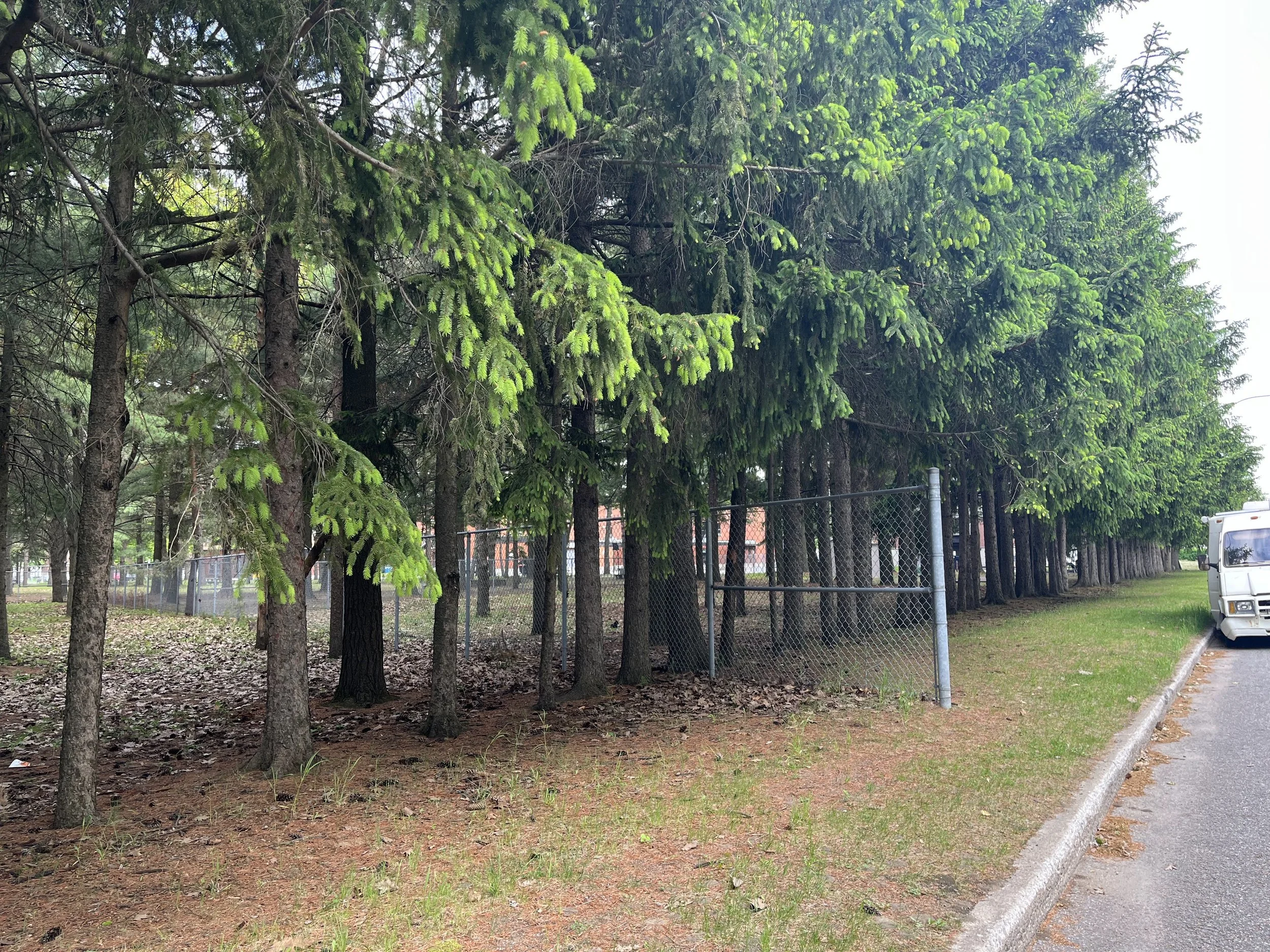 IMG_2259.jpeg