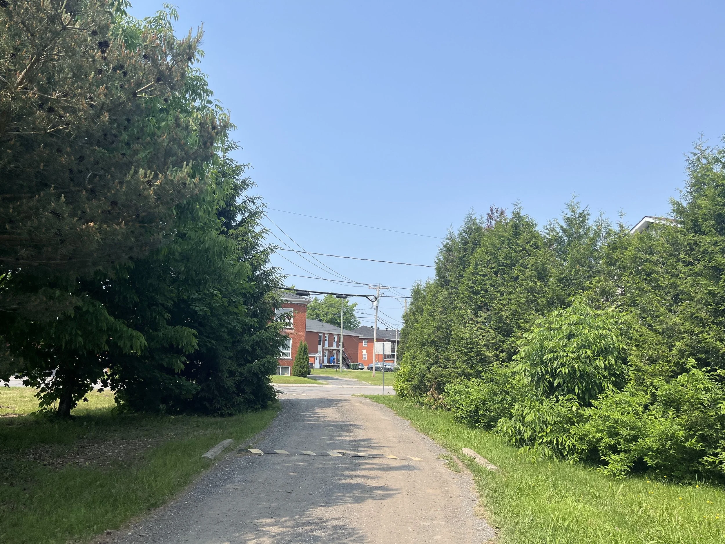 IMG_2323.jpeg