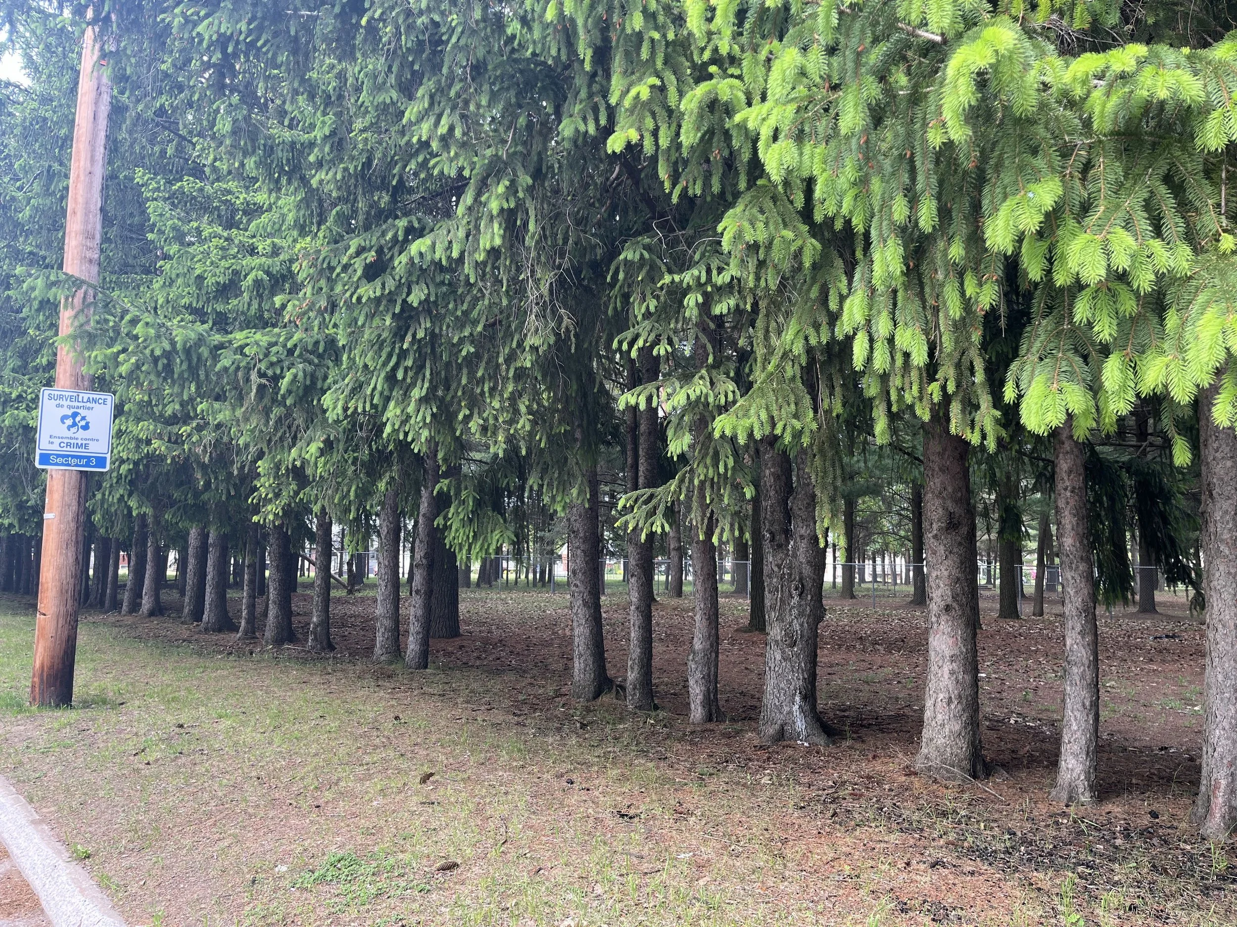 IMG_2267.jpeg