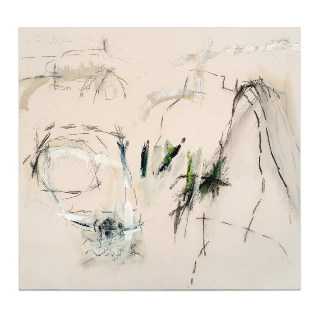 Cliff Palace, 2015
Acrylic and graphite on canvas
54 x 50 inches
137.2 x 127 cm