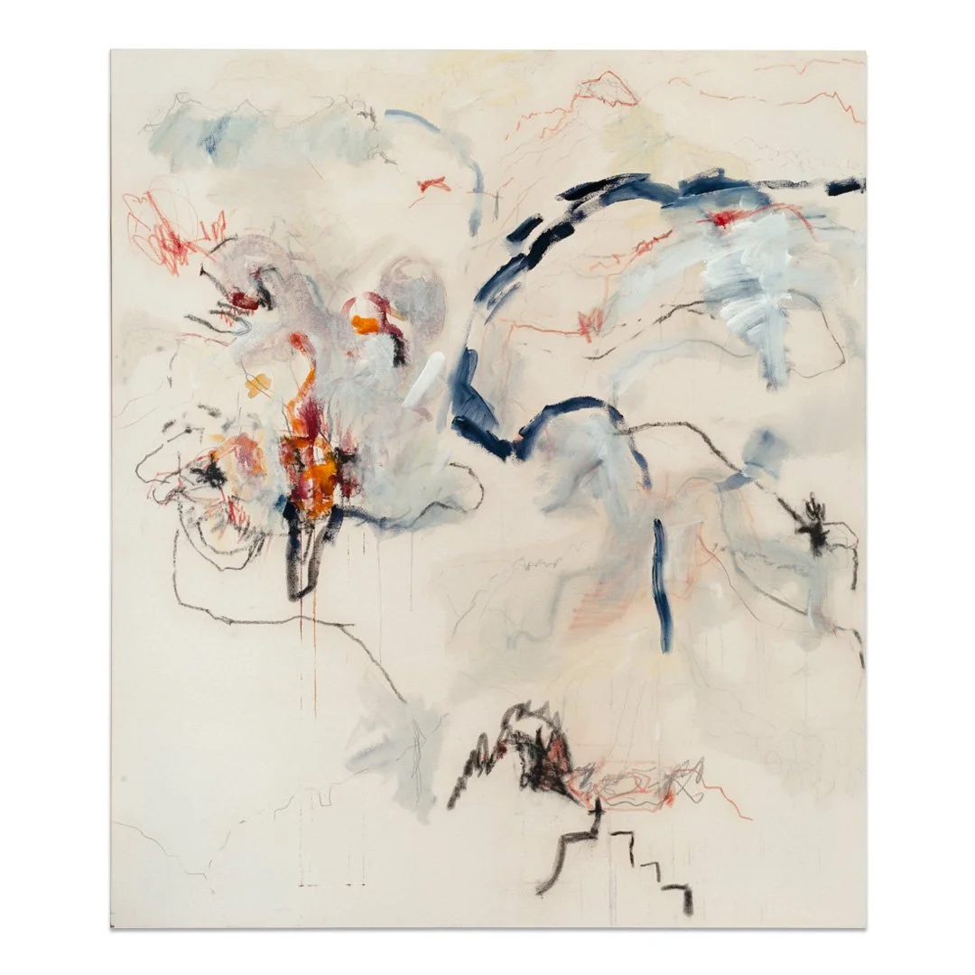 Taos Caldera, 2016
Acrylic and graphite on canvas
58 x 50 inches
147.2 x 127 cm