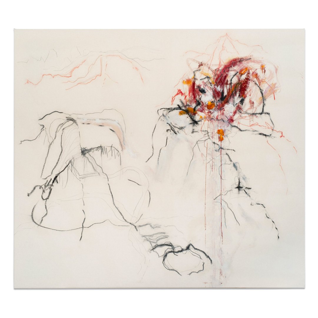 Agathla, 2015
Acrylic and graphite on canvas
56 x 50 inches
142.3 x 127 cm