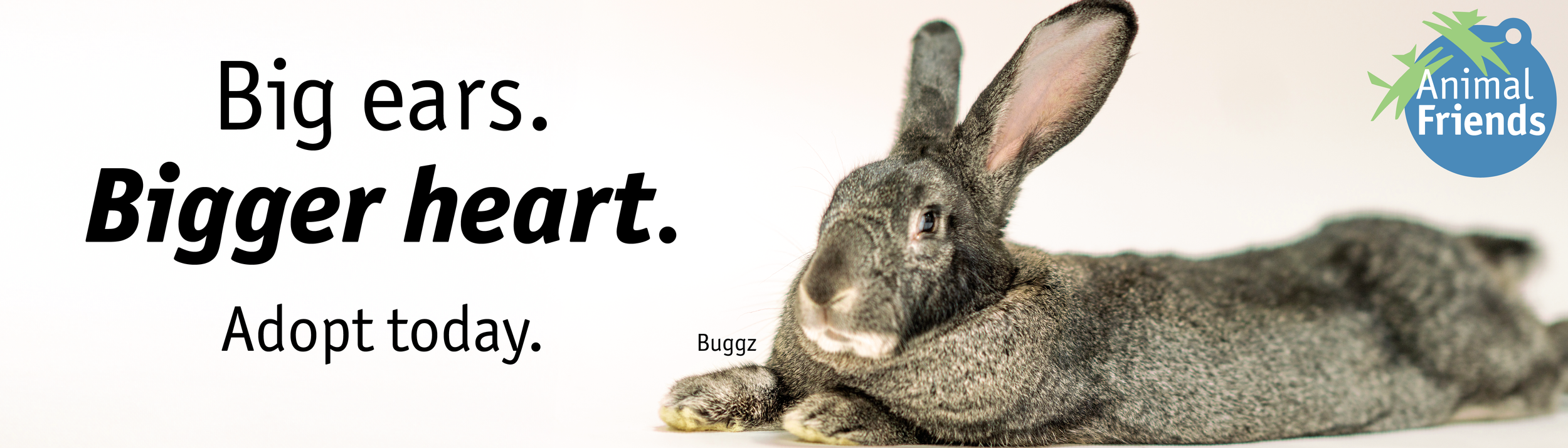 buggz.png