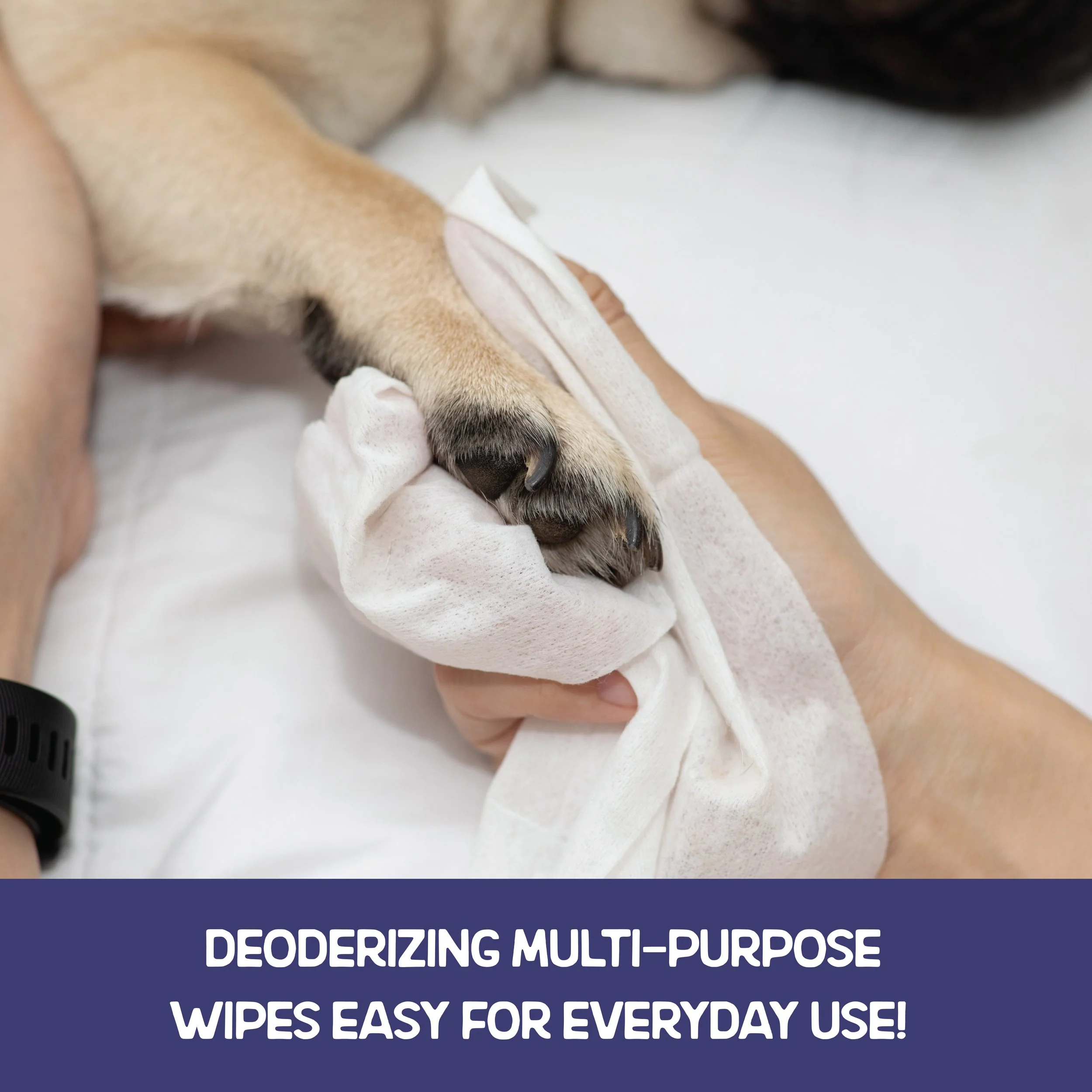 _AmazonDogWipes-07.jpg