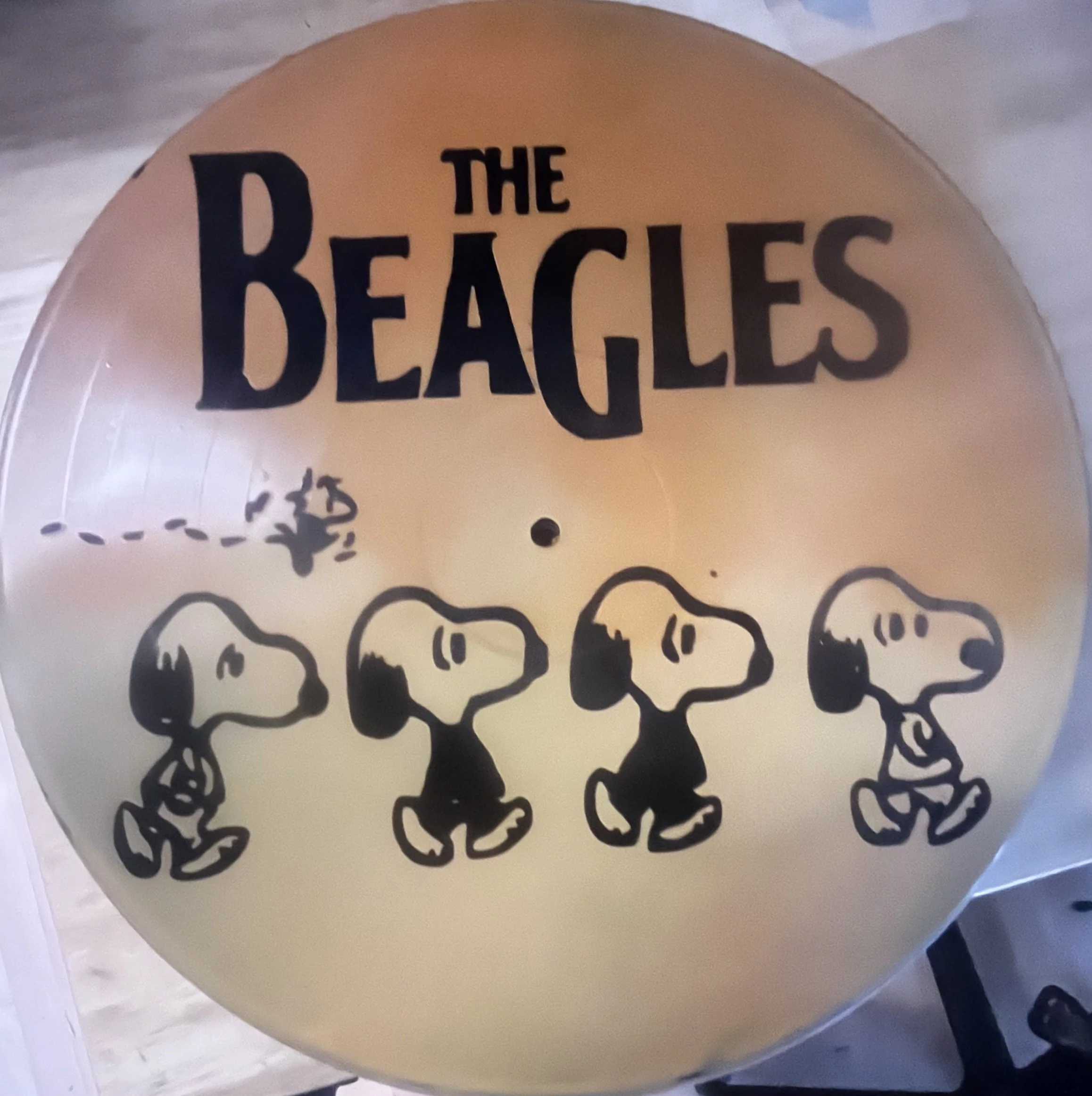 IMG_4856Friday 13th.jpeg