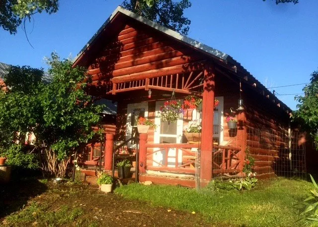 pic 2.jpg