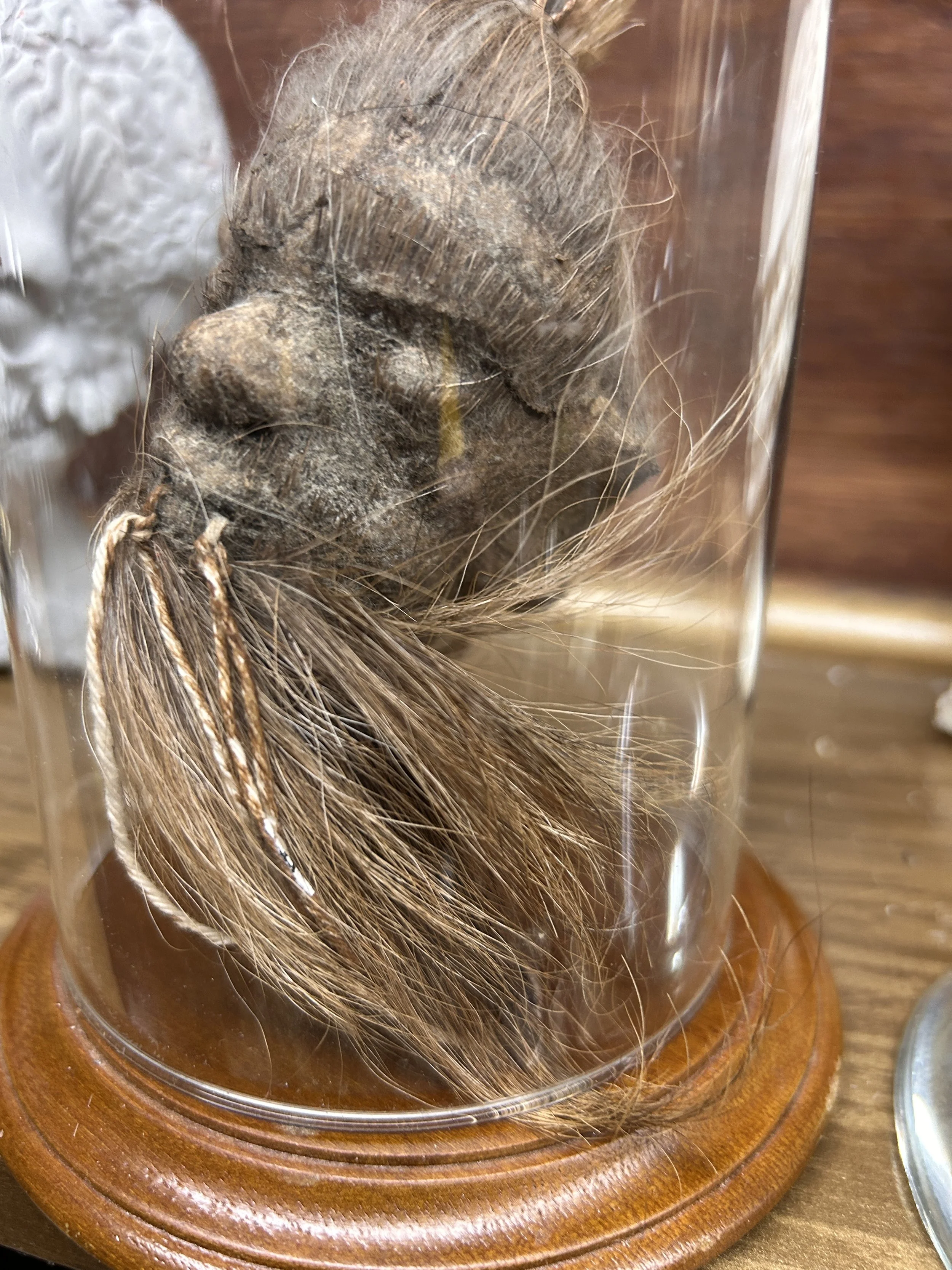 Human Shrunken small Head 4A