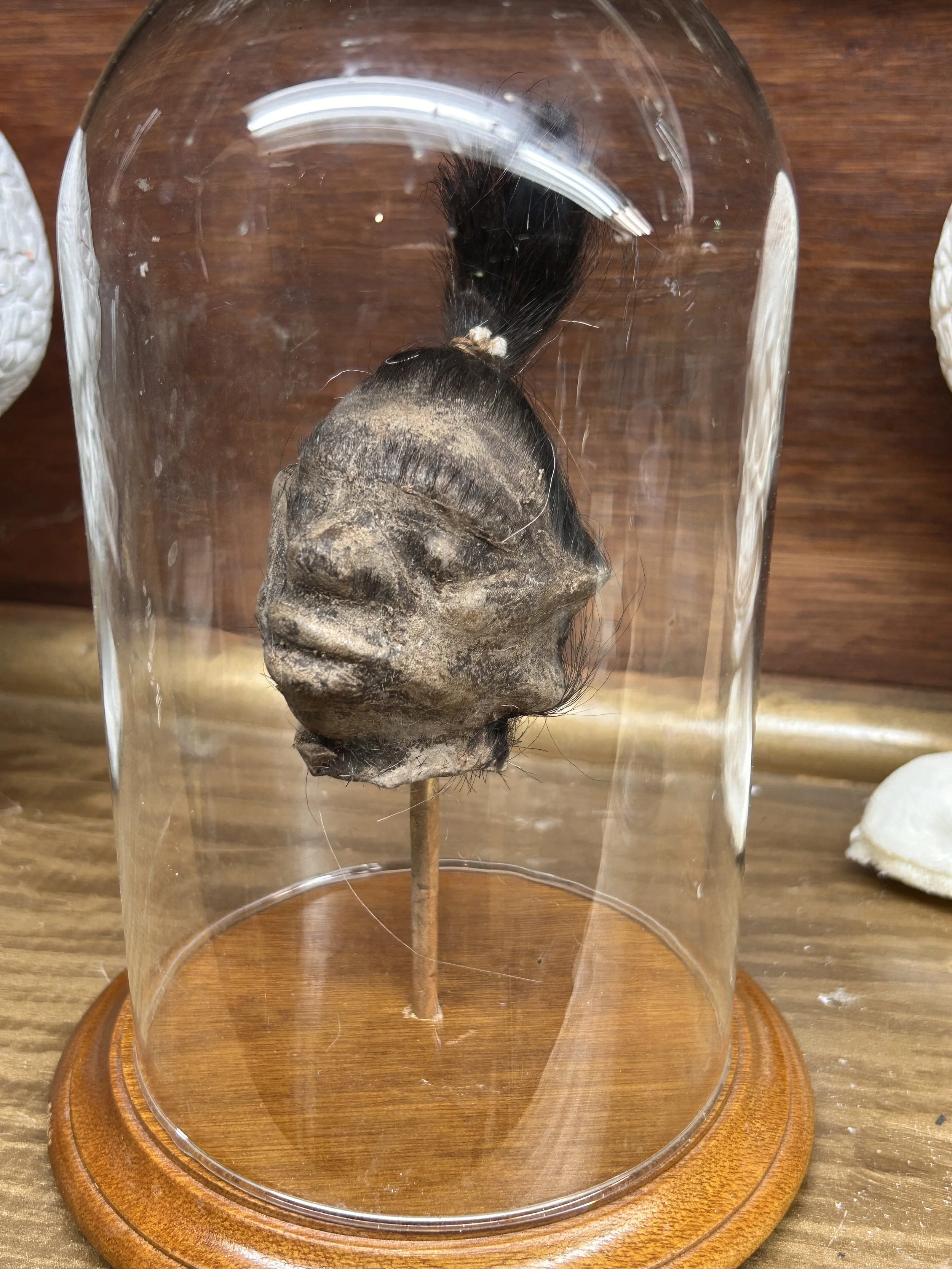 Head 1A.JPG
