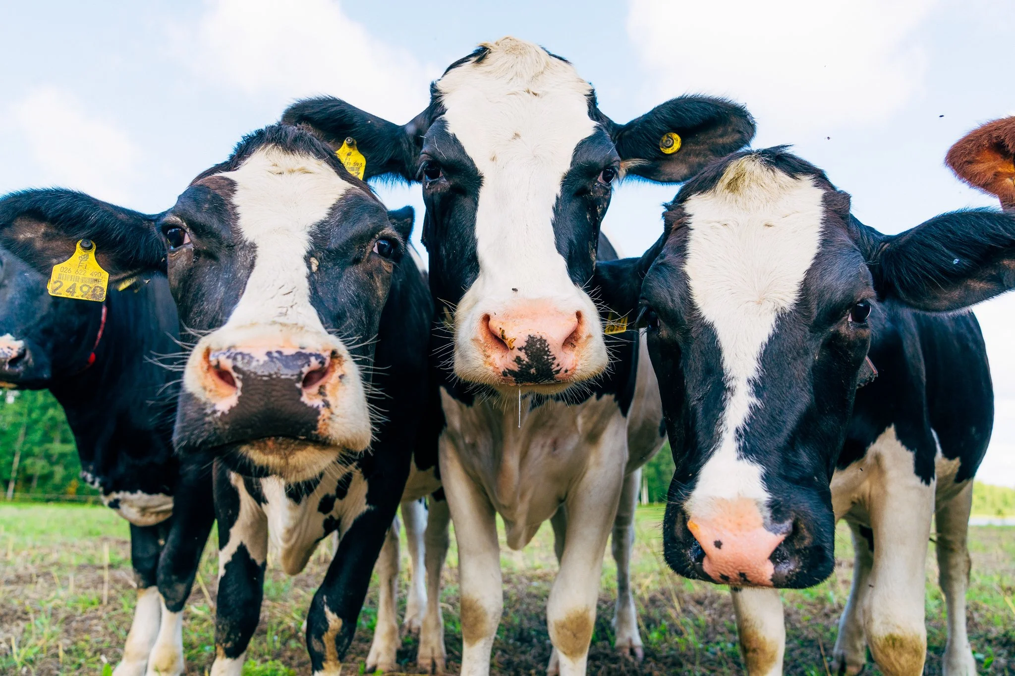 Illallinen_kansallismaisemassa_S01_eps_019 - WEB.jpg