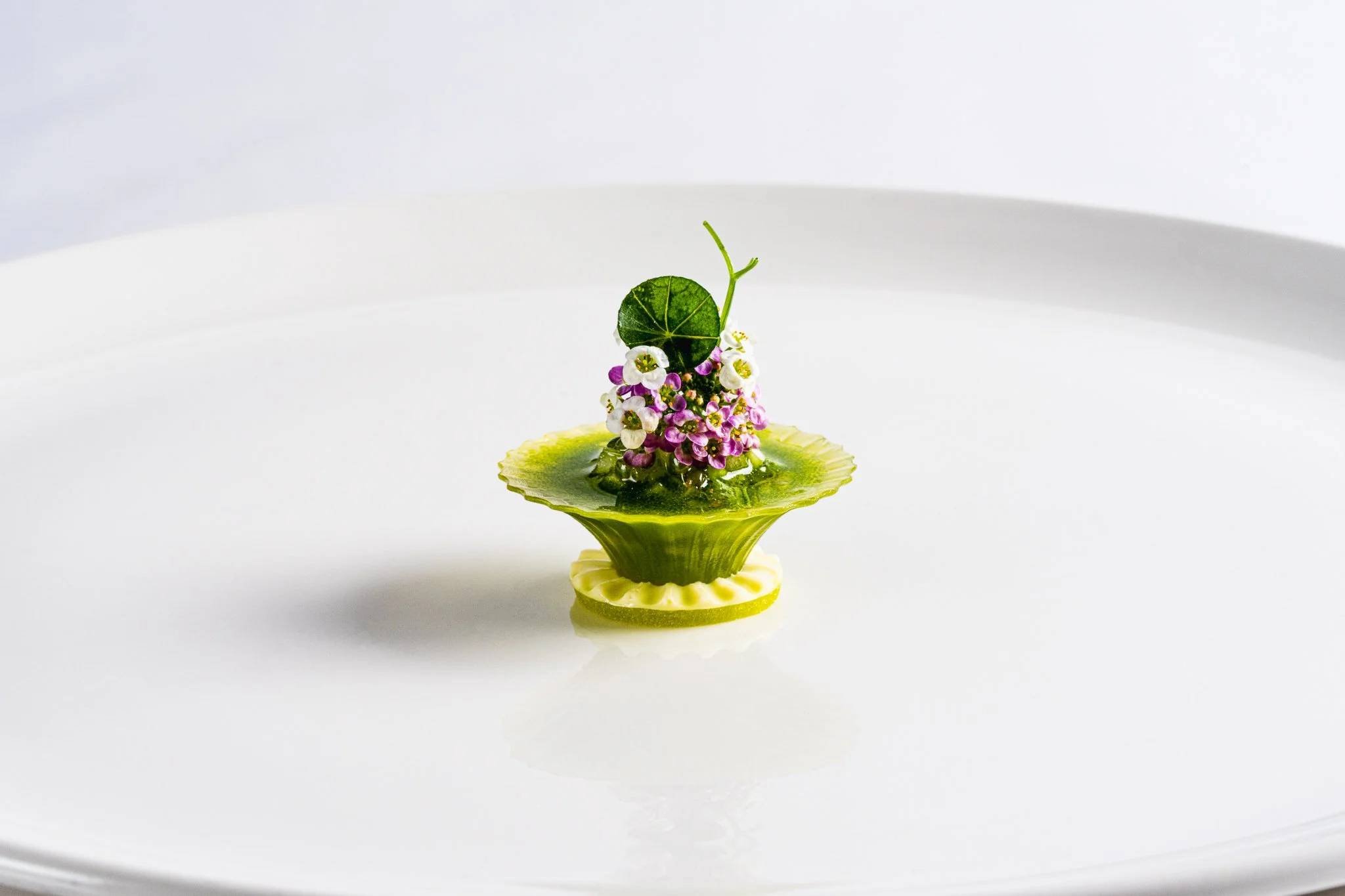 2025-05-05-Kurkela-150-Edit - WEB.jpg