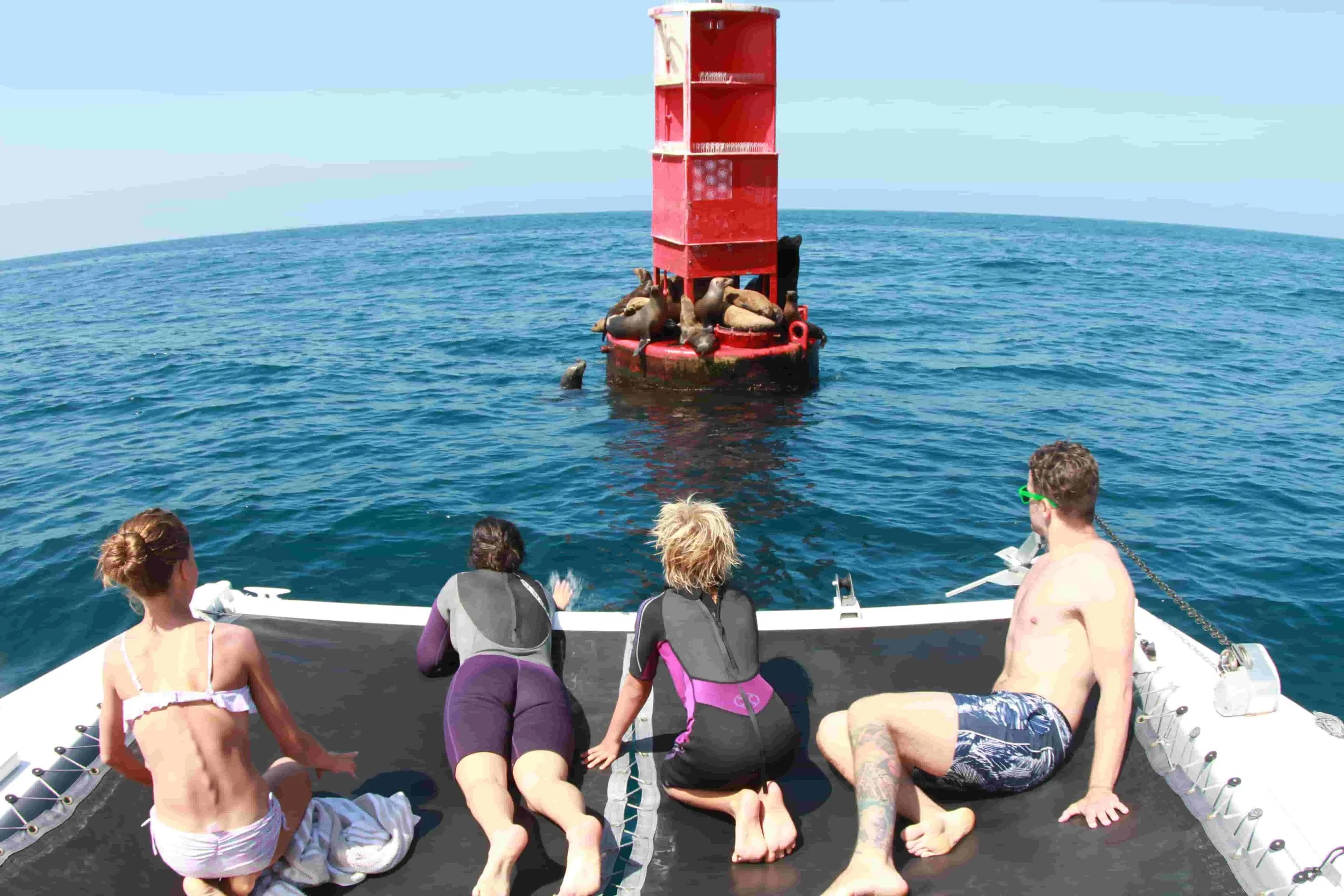 Book a Boat Tour Today — Malibu Coastal Adventures