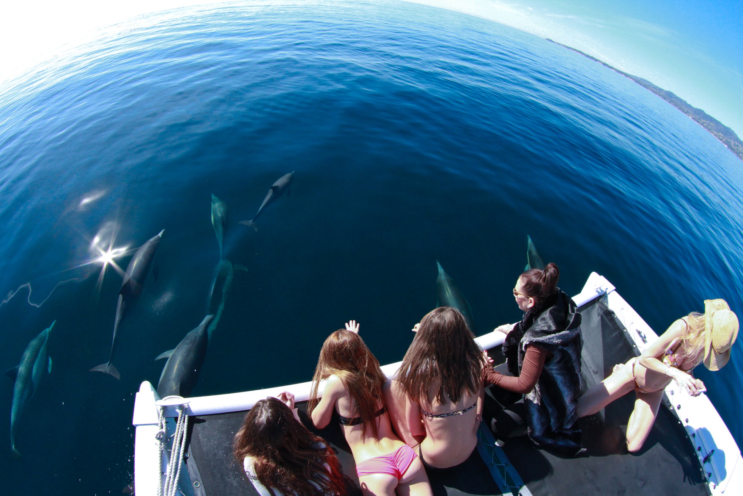 Kids loving the dolphin watching