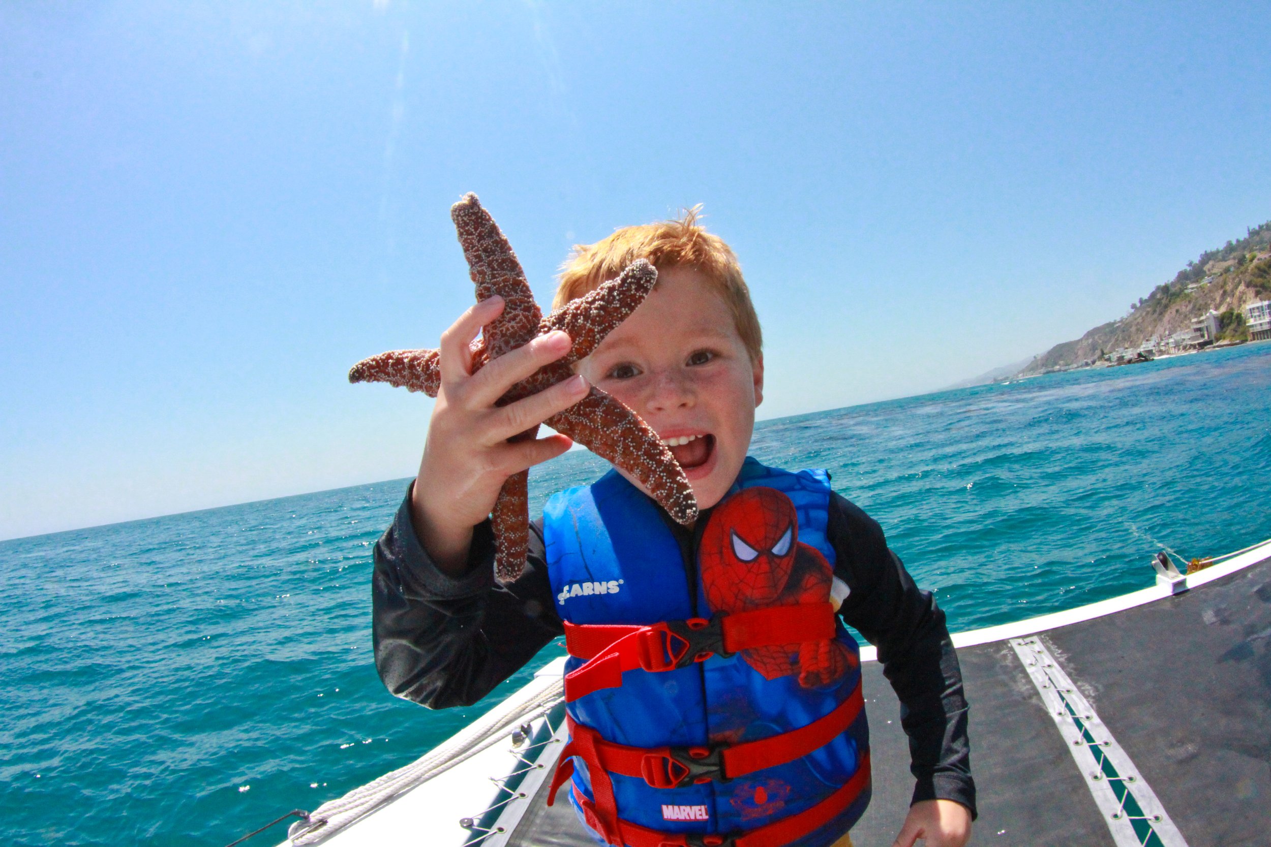 First time holding a starfish