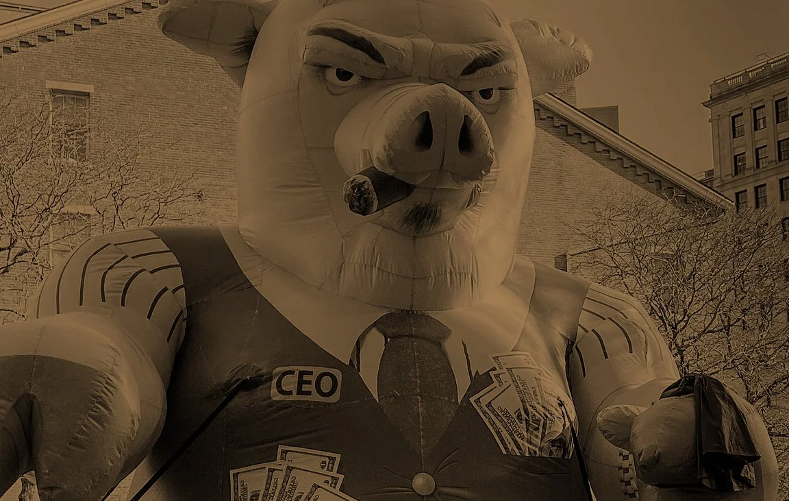 pig2.jpg