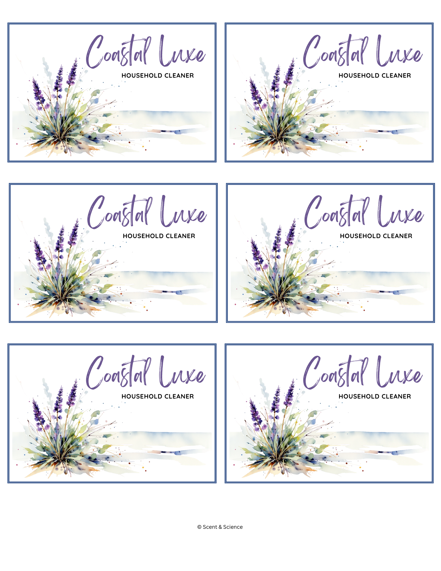 Thieves Household Cleaner Label (ONLY) - Coastal Luxe