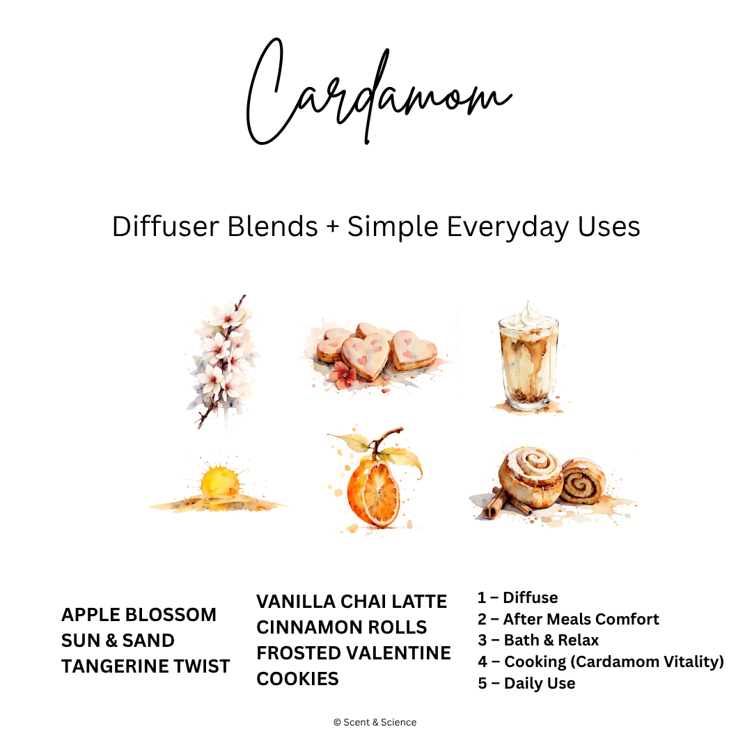 Essential Scent Diffuser Postcard Featuring Cardamom