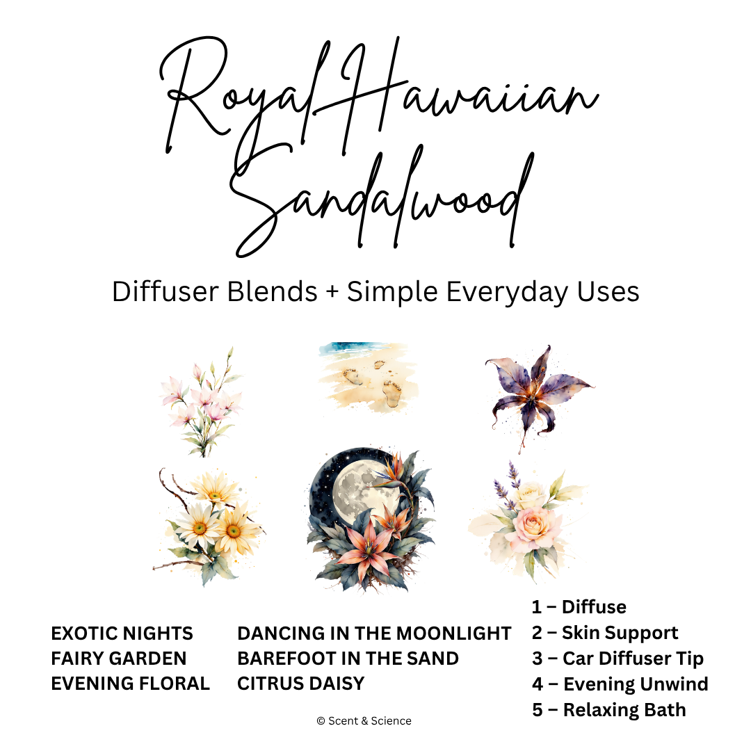 Essential Scent Diffuser Postcard Featuring Royal Hawiian Sandalwood