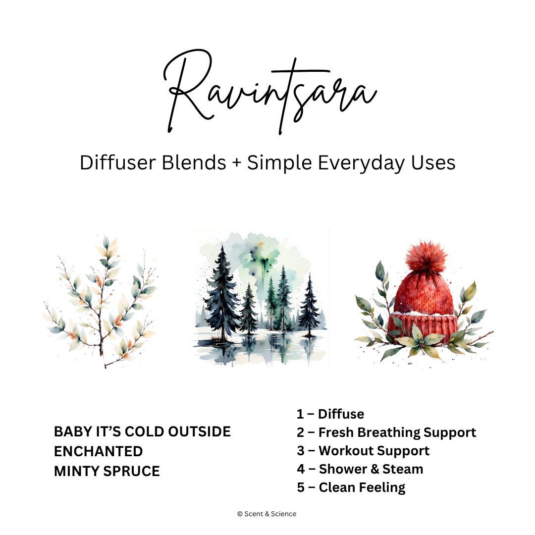 Essential Scent Diffuser Postcard Featuring Ravintsara