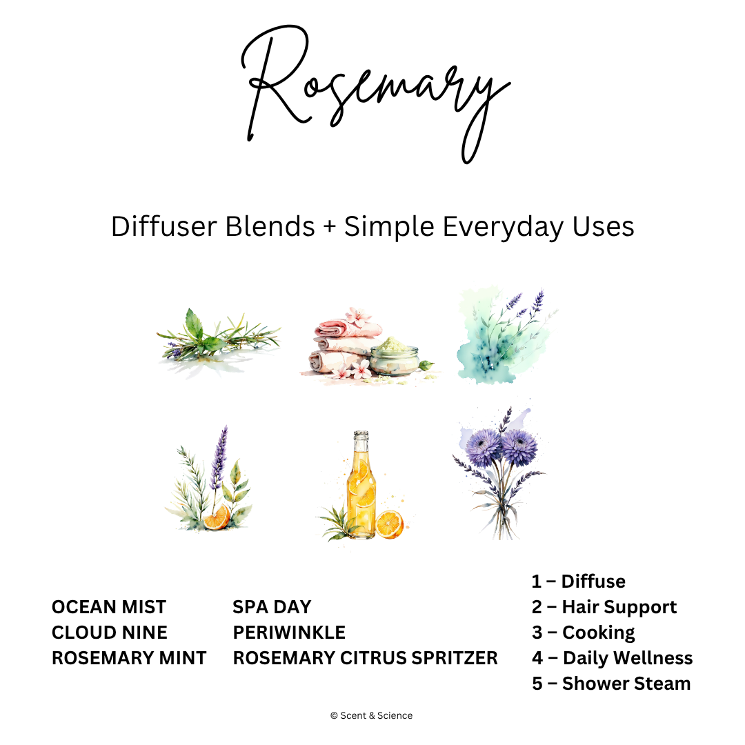 Essential Scent Diffuser Postcard Featuring Rosemary