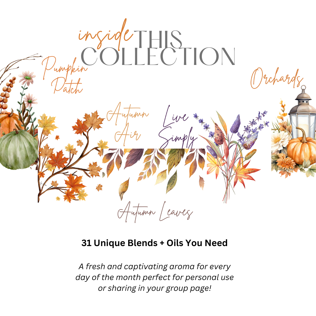 Fall Diffuser .png
