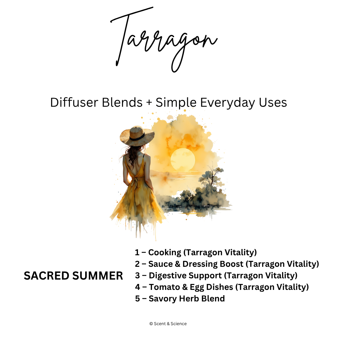 Essential Scent Diffuser Postcard Featuring Tarragon
