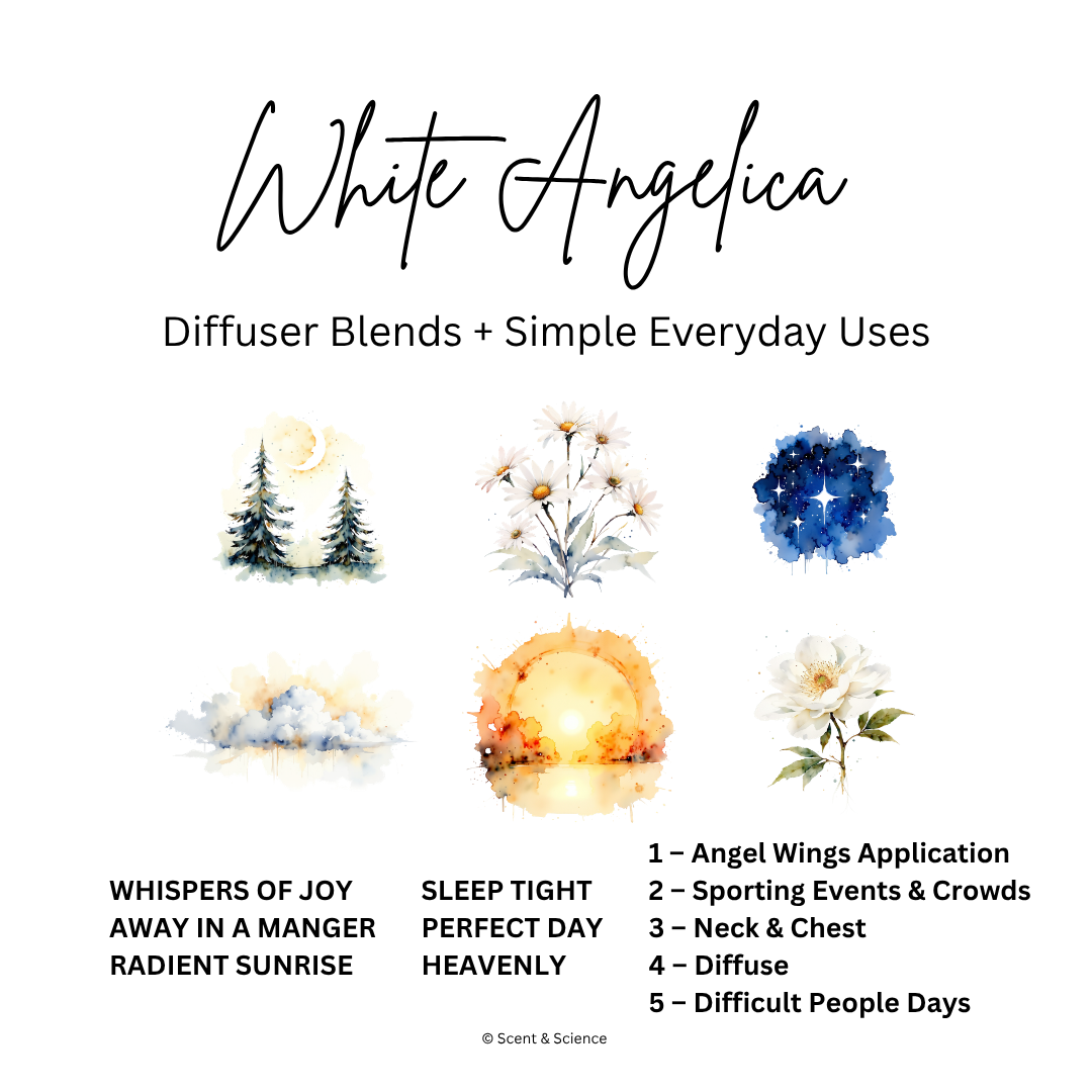 white angelica.png
