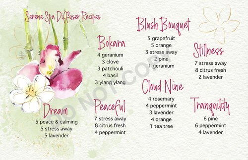 SERENE+SPA+DIFFUSER+RECIPE+POSTCARD.jpg