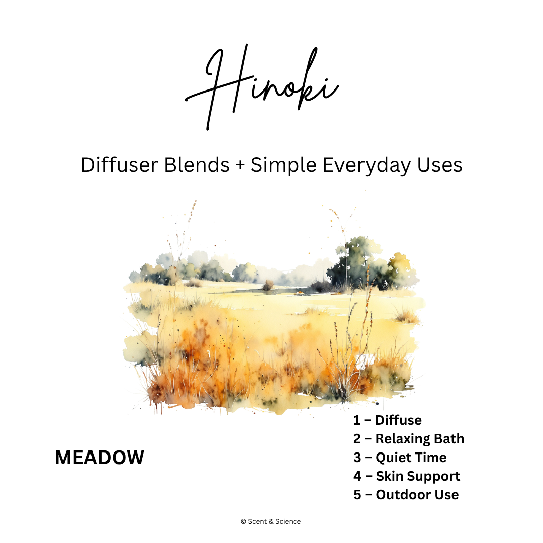 Essential Scent Diffuser Postcard Featuring Hinoki
