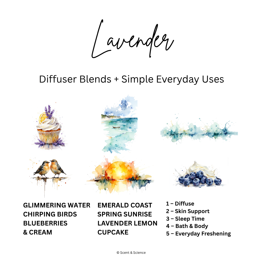 Essential Scent Diffuser Postcard Featuring Lavender