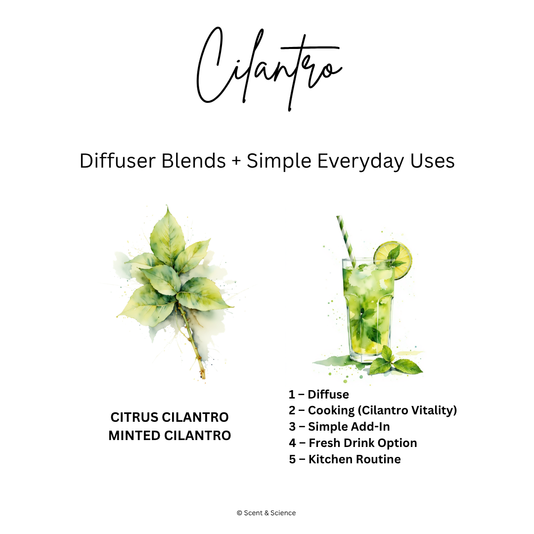 Essential Scent Diffuser Postcard Featuring Cilantro