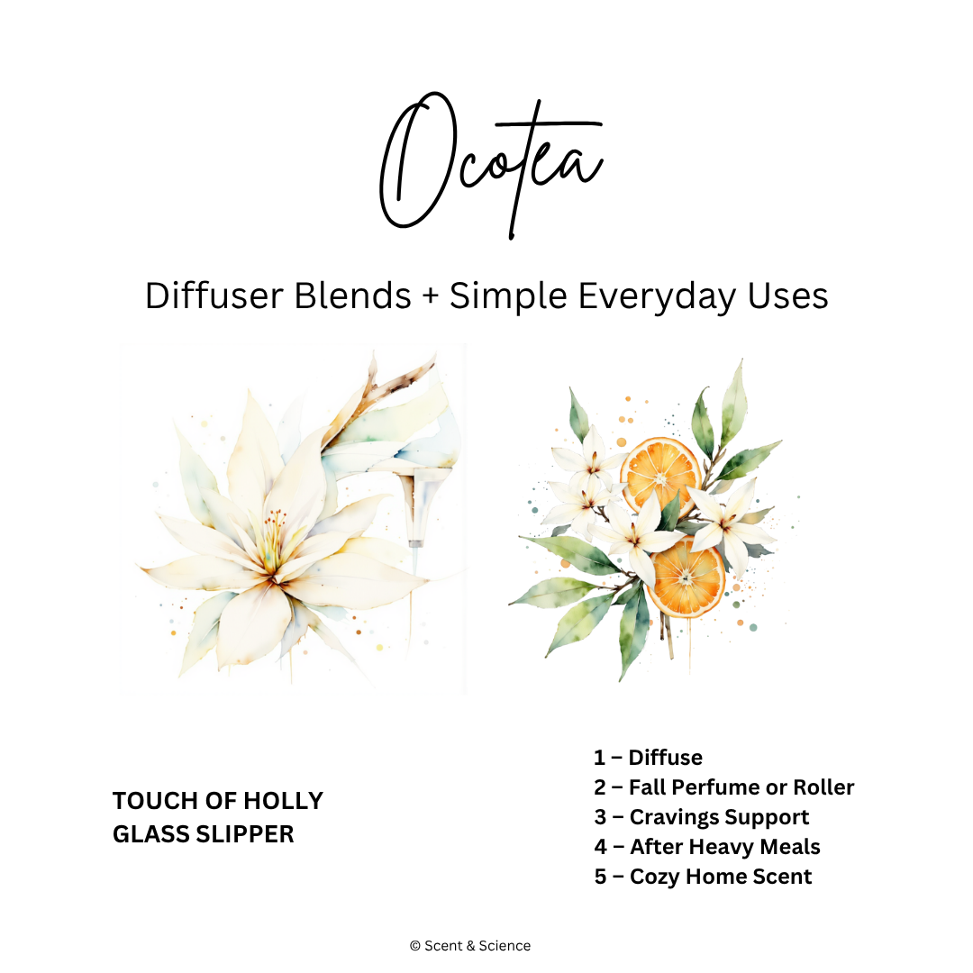 Diffuser Recipes ocotea.png