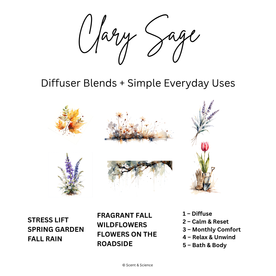 Essential Scent Diffuser Postcard Featuring Clary Sage