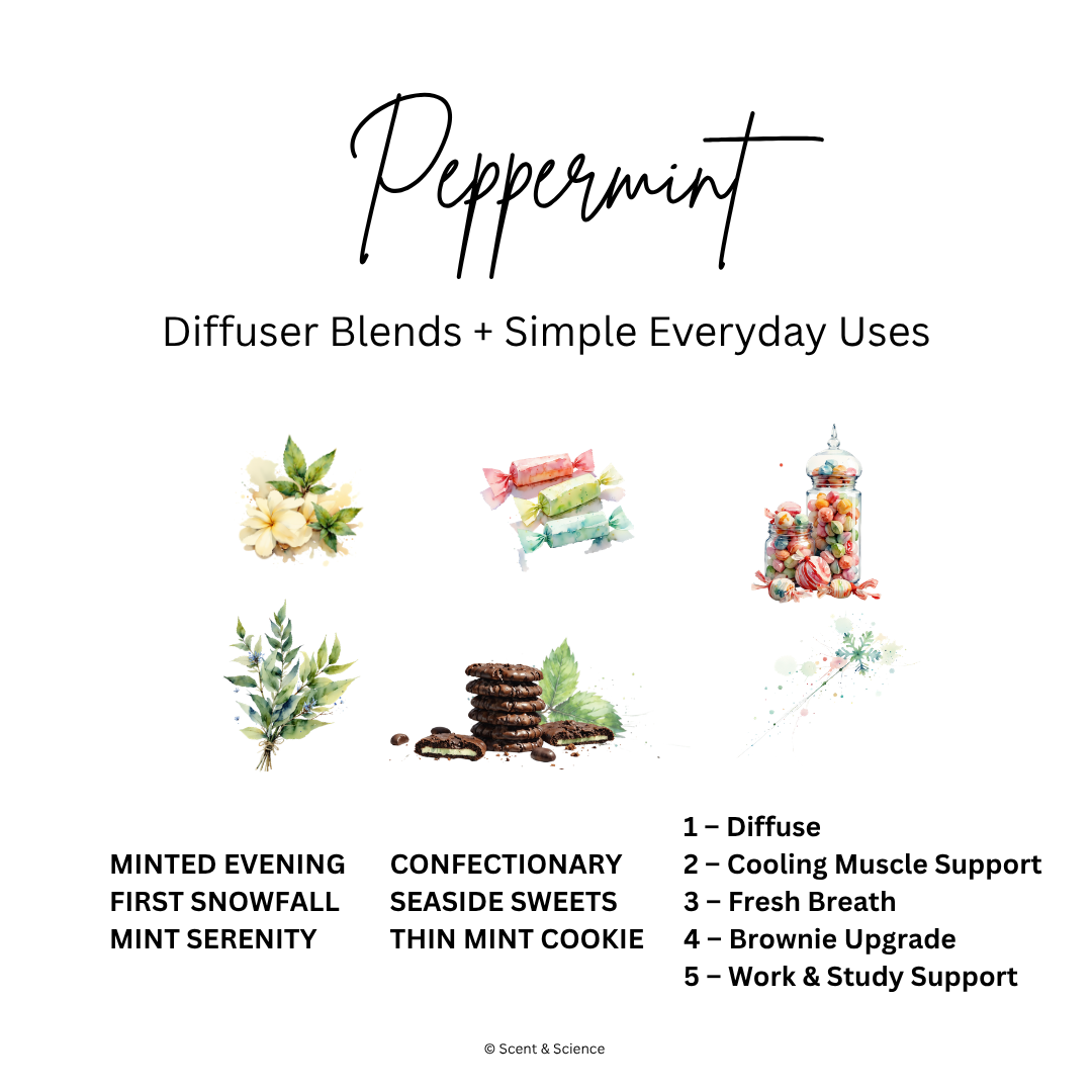 Essential Scent Diffuser Postcard Featuring Peppermint