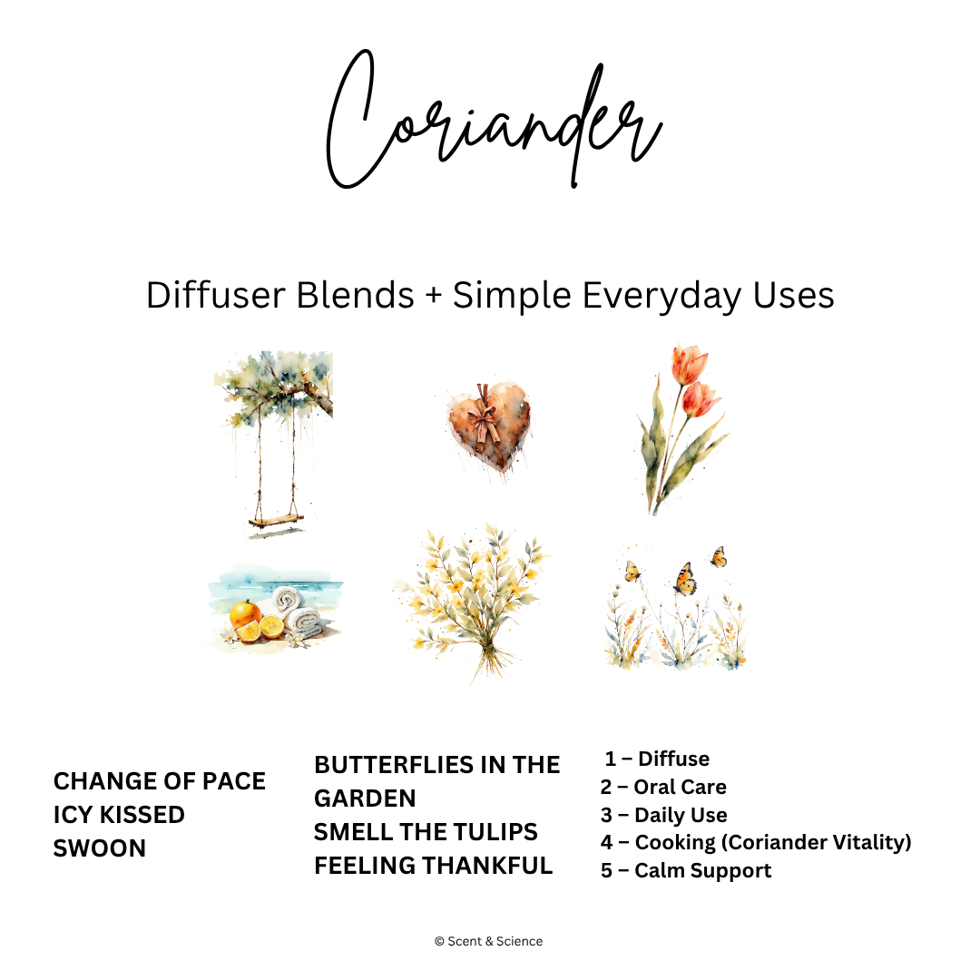 Essential Scent Diffuser Postcard Featuring Coriander