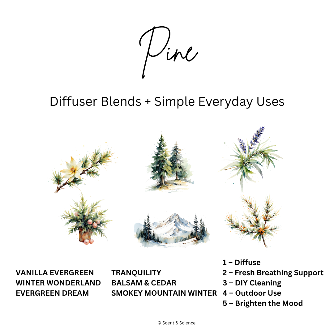 Essential Scent Diffuser Postcard Featuring Pine