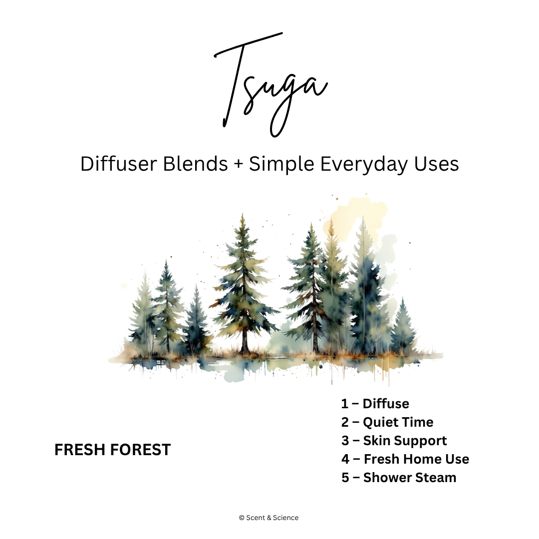 Essential Scent Diffuser Postcard Featuring Tsuga