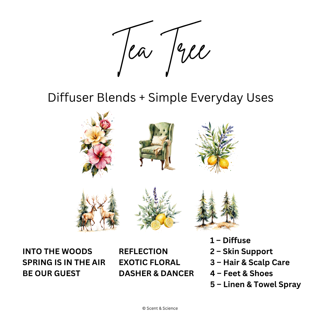 Essential Scent Diffuser Postcard Featuring Tea Tree