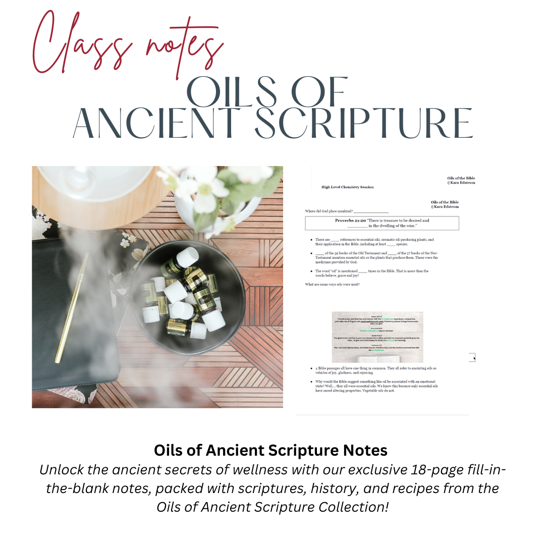 scripture class notes.png